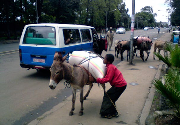 Traditionella lastdjur är ingen ovanlig syn i Etiopiens huvudstad Addis Abeba.