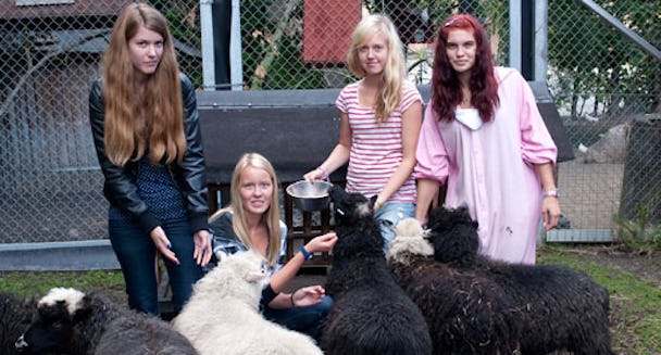 Matilda Hedman, Isabelle Karlsson, Anna Forsgren och Julia Jonsson ser fram emot att börja jobba med djur, trots den låga lönen.