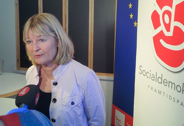 Marita Ulvskog presenterar Socialdemokraternas EU-plattform.