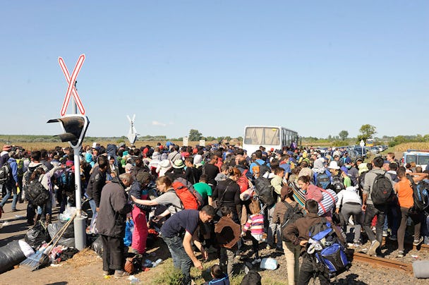 Flyktingar anländer till en uppsamlingsplats nära den ungerska byn Roszke vid gränsen till Serbien. Foto: Zoltan Gergely Kelemen