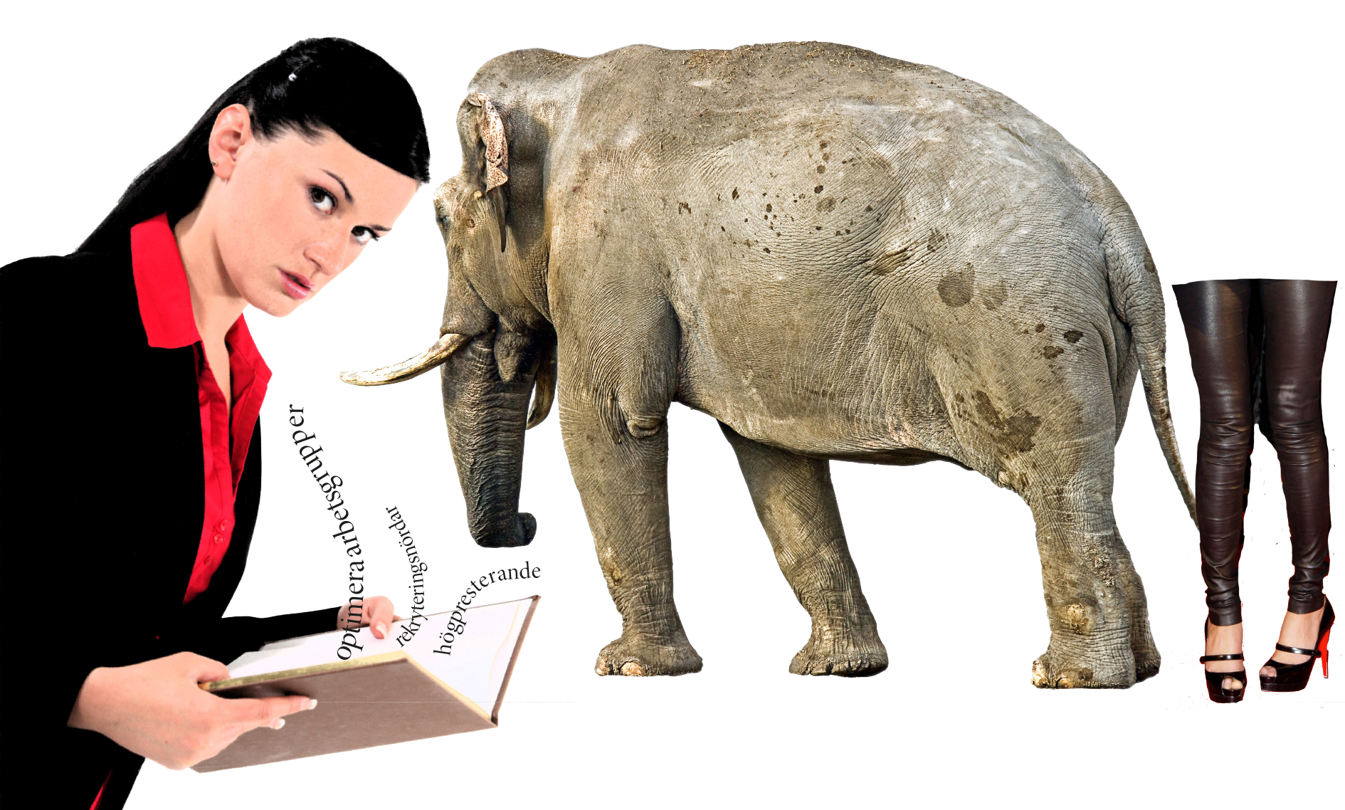 Innovation, skinnbyxor och elefanter – här är chefernas litteratur