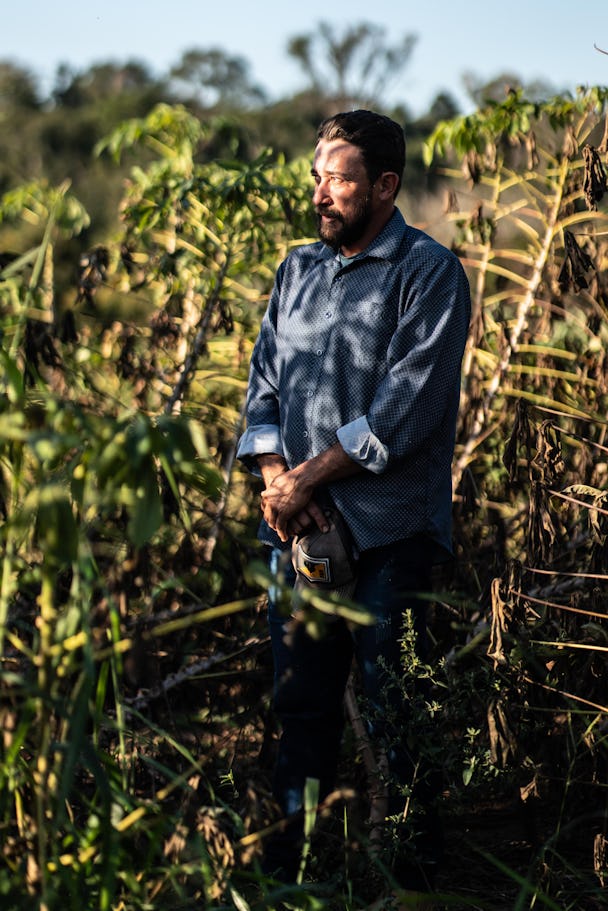 En man i blå skjorta står på ett fält omgiven av höga grödor.