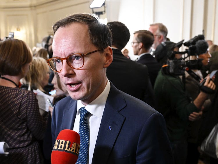 Mats Persson i riksdagen