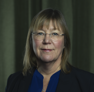 Professor Annina H Persson på KTH säger att mycket av lånebolagens reklam bryter mot lagen.