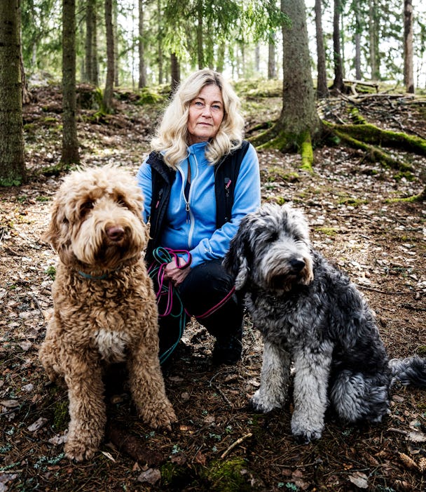 Susanne Holmberg i en skogsglänta med sina två hundar.