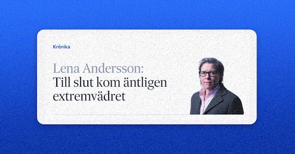 Lena Andersson, SvD, klimat, klimatförändringar