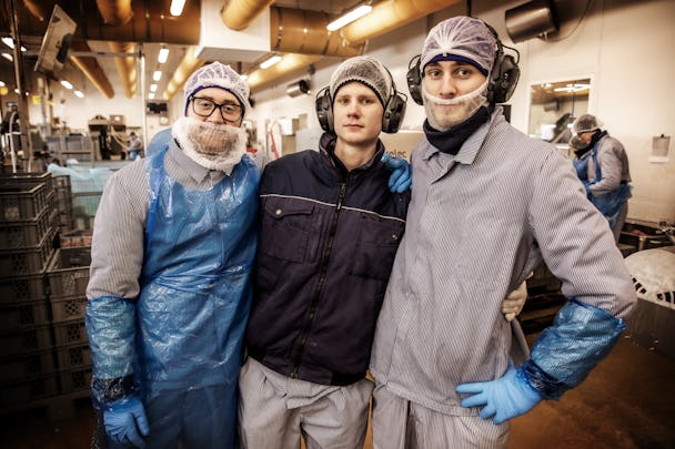 Johannes med två av sina kollegor Joel Ekberg och Anton Gunnarsson, som också trivs på jobbet. Mycket tack vare god stämning och ett välfungerande faddersystem. På Danish Crown arbetar omkring 125 livsmedelsarbetare, av dem är 89 medlemmar i facket.