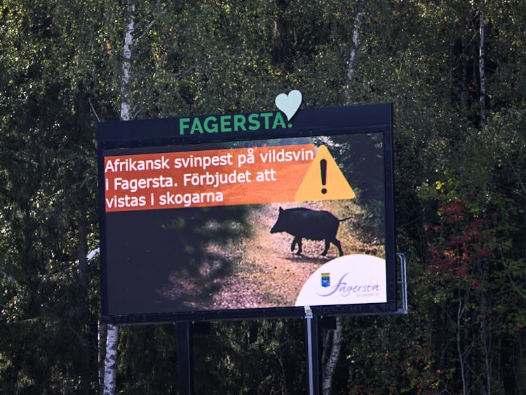 Skylt uppsatt av Fagersta kommun med anledning av utbrottet av afrikansk svinpest.