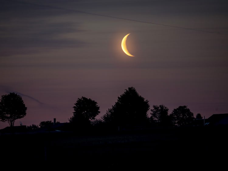 Halvmåne hänger lågt på en skymningshimmel ovanför ett siluettbildat landskap.