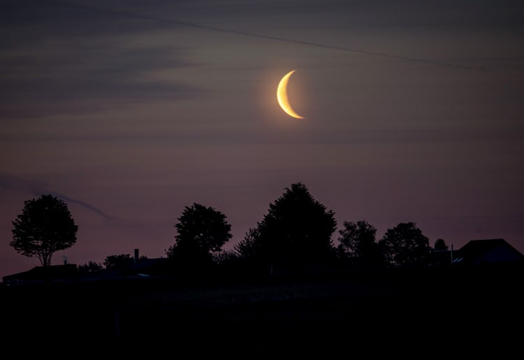 Halvmåne hänger lågt på en skymningshimmel ovanför ett siluettbildat landskap.