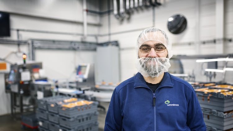 En arbetare i en livsmedelsproduktionsanläggning som bär hårnät och skäggskydd, med förpackningsmaskineri i bakgrunden.