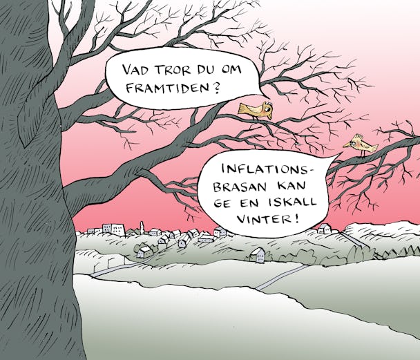 Fåglar om en kall vinter med inflationsbrasa