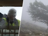 Två bilder på en man som putsar ett fönster och ett träd i storm.