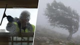 Två bilder på en man som putsar ett fönster och ett träd i storm.