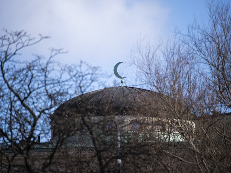 En halvmånesymbol på toppen av en kupol, delvis skymd av kala trädgrenar.