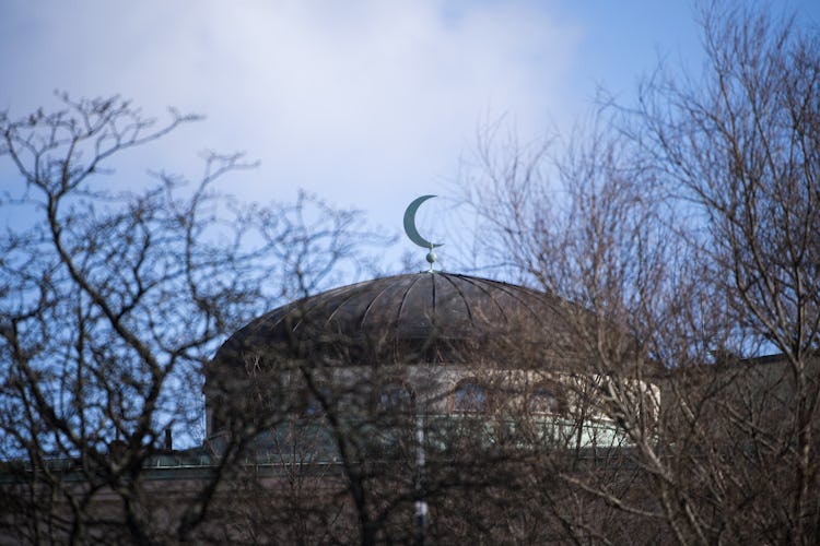 En halvmånesymbol på toppen av en kupol, delvis skymd av kala trädgrenar.