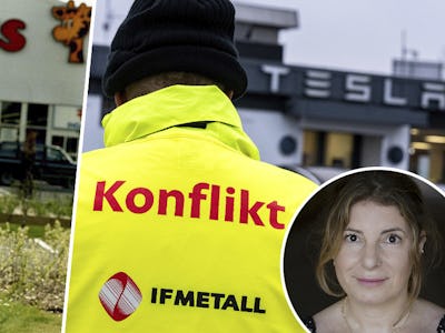 Bild från Toys R Us och strejken på Tesla samt bild på Veronika Alneborn Ödmark.