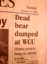 Död björn inlindad i Obama-affischer.