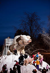 Huvudattraktionen, ”djuret”, står varje år i stadsparken. Den här vintern är det en gris med rutschkana för barnen.