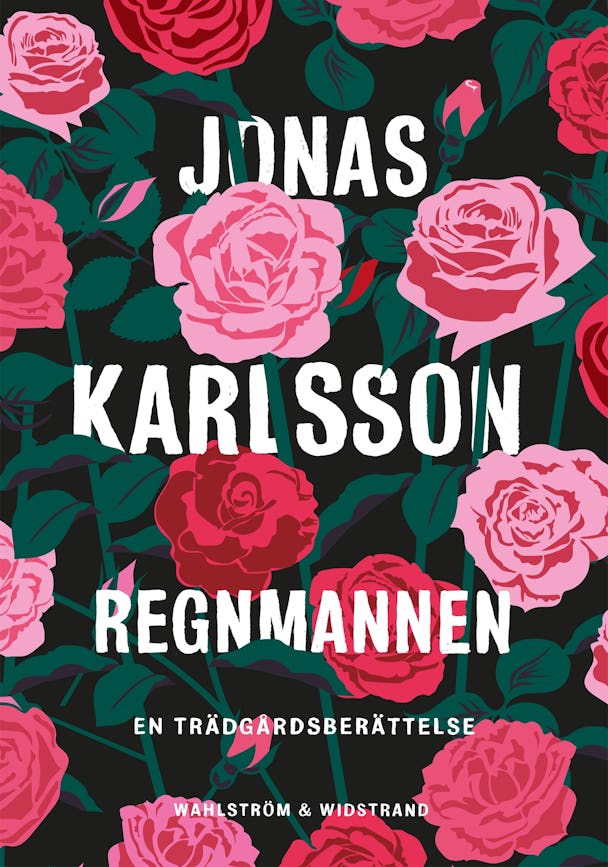 ”Regnmannen” av Jonas Karlsson.