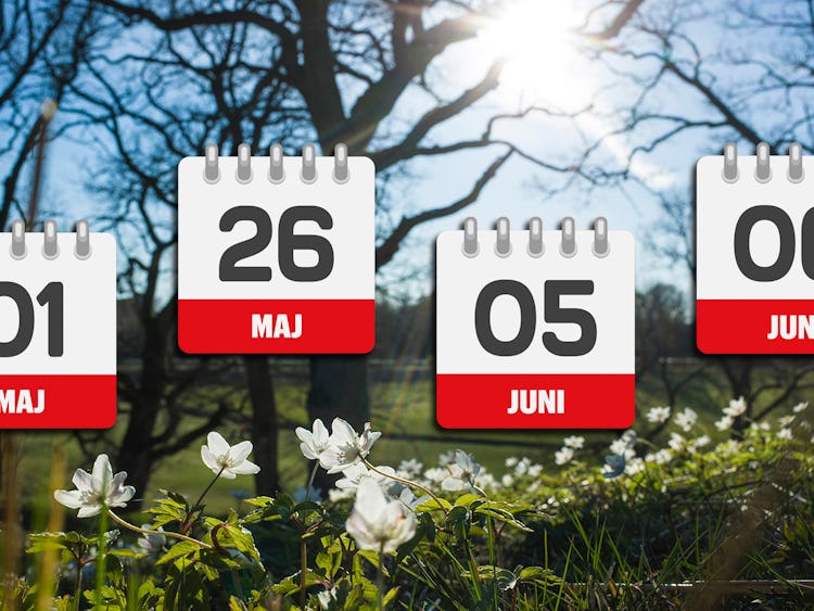 Under maj och juni väntar flera röda dagar.