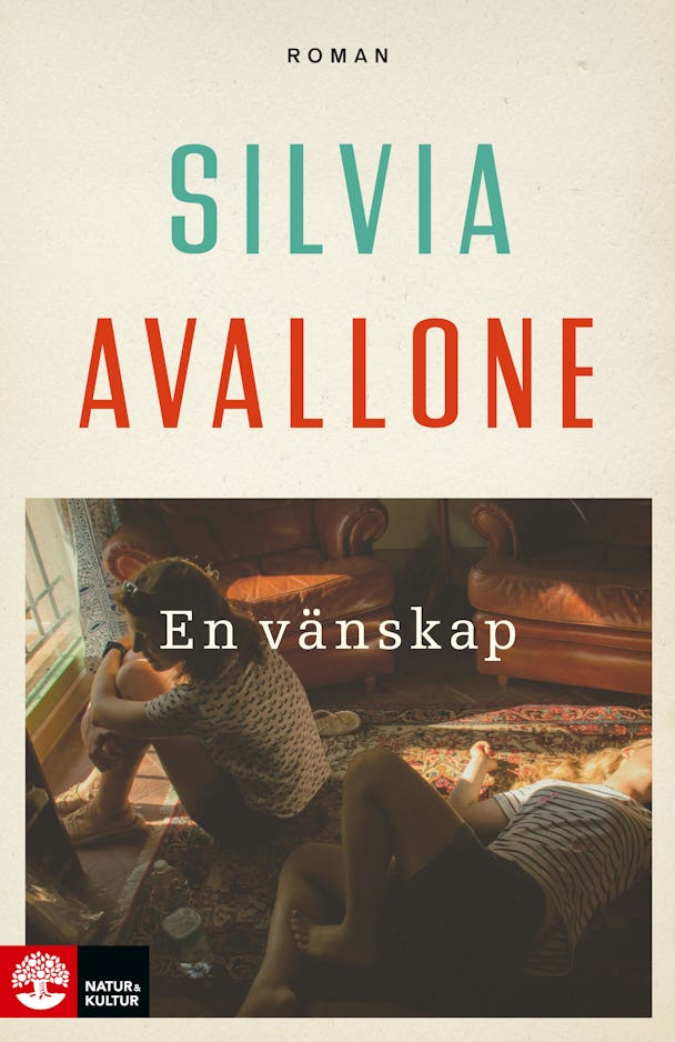 En vänskap, Silvia Avallone, Natur & Kultur