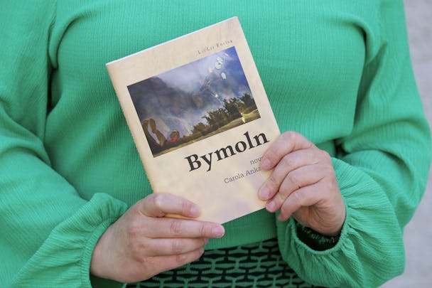 ”Bymoln” är Carola Ankarborgs första novellsamling.
