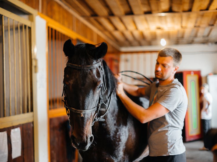 En man står intill en svart häst i ett stall.