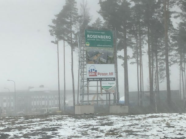 En dimmig skog med en reklamskylt