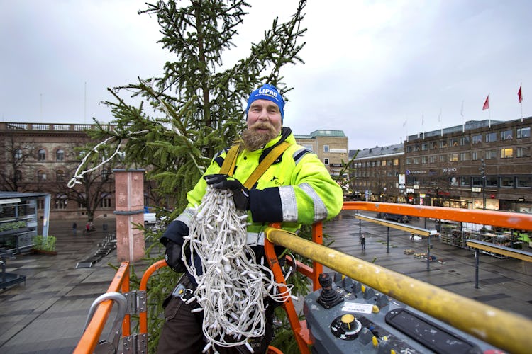 Patrik Jansson uppe i skyliften vid granens topp, hållandes en lång ljusslinga