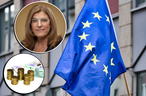 En EU-flagga med bild på Therese Guovelin och svenska pengar monterade över