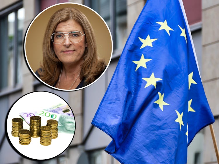 En EU-flagga med bild på Therese Guovelin och svenska pengar monterade över