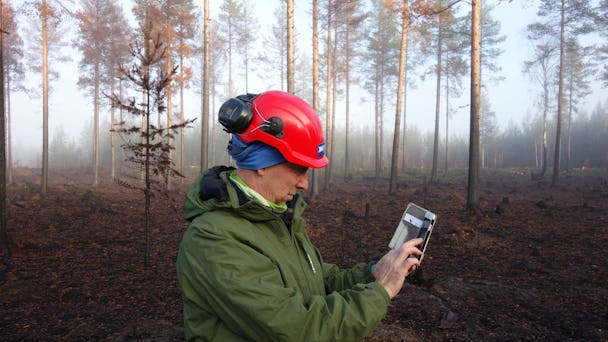 Christer Gruber bland träden i skogen som brunnit