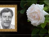 En bild på Arne Olofsson invid en bild på en vit ros.