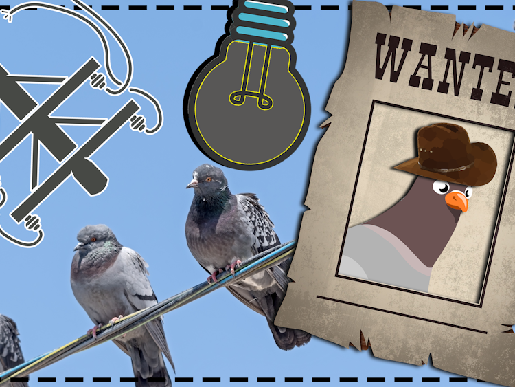 En tecknad efterlysningsposter föreställande en duva i cowboy-hatt, monterad invidoch över en bild på riktuga duvor på en elledning, samt en tecknad elstolpe och en tecknad, släckt glödlampa.