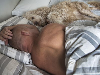 en man och en hund sover i en säng.