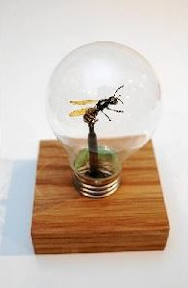 En insekt i en glödlampa